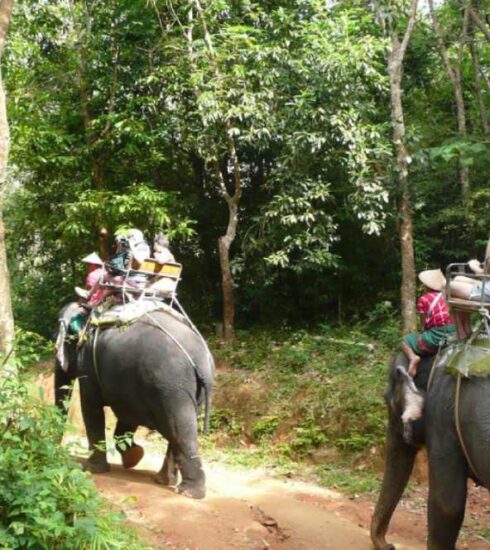 Exploring Phuket's National Parks