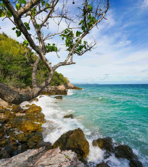 Digital Detox Phuket
