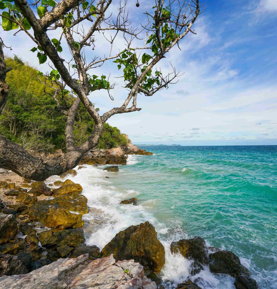 Digital Detox Phuket