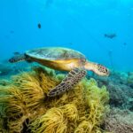 unique experiences in Phuket