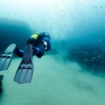 Scuba Diving or Snorkeling